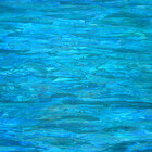Water  Elke Schmölzer 2007